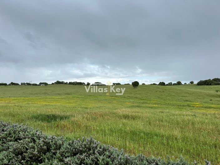 Image No.6-Farmhouse for sale