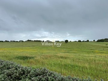 id832ec501-0000-0500-0000-000018d1dc0a