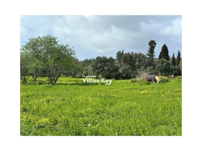 Image No.8-Farmhouse for sale