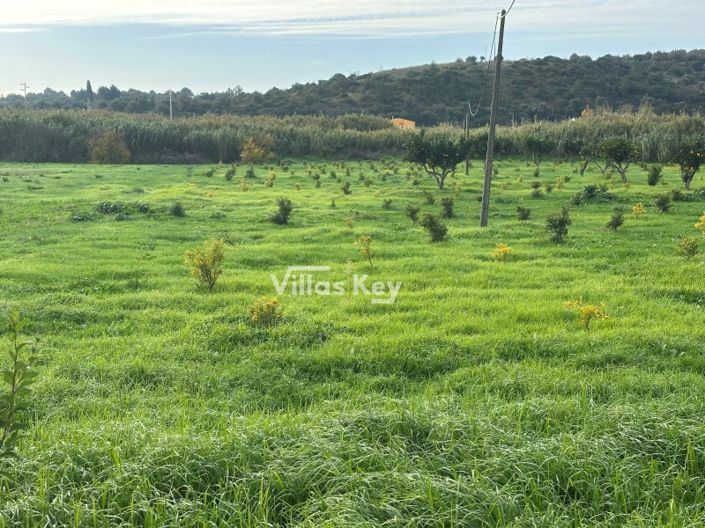 Image No.9-Farmhouse for sale