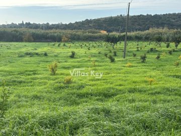 id832ec501-0000-0500-0000-000018d1dc0b