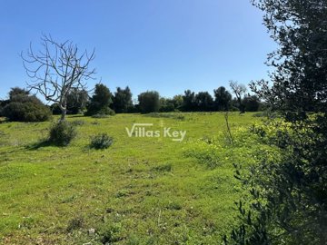 id414ac201-0000-0500-0000-00001892ef1d