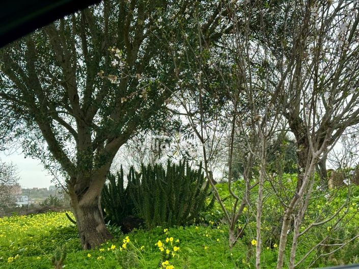 Image No.6-Plot for sale