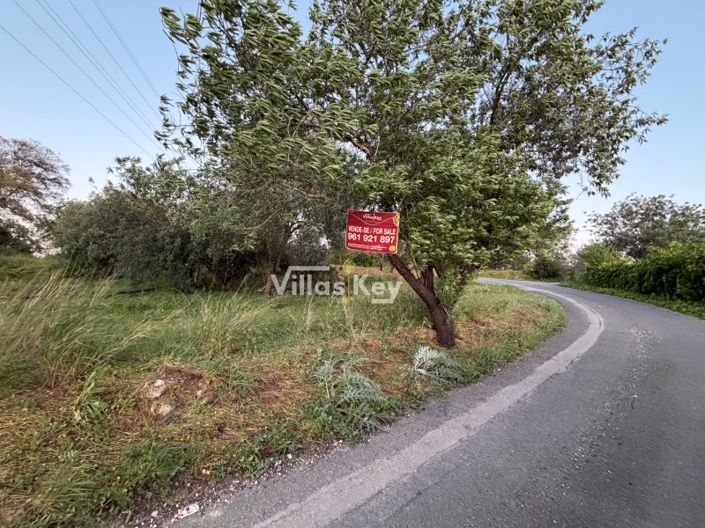 Image No.10-Plot for sale