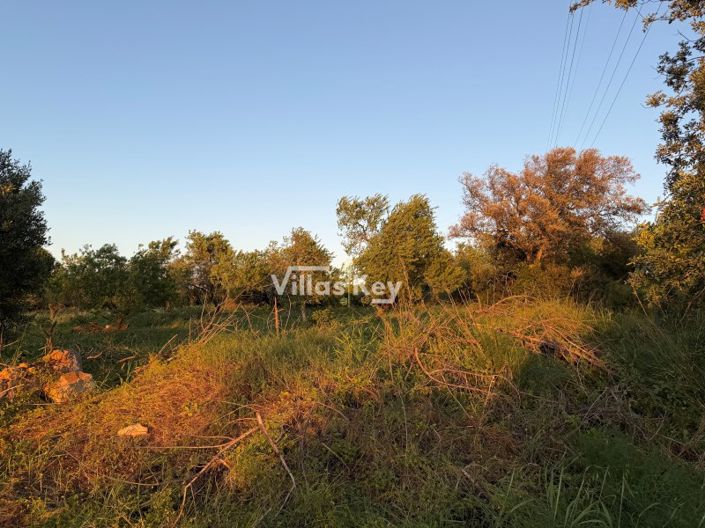 Image No.11-Plot for sale