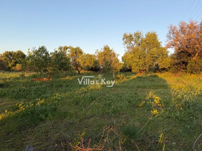 Image No.12-Plot for sale