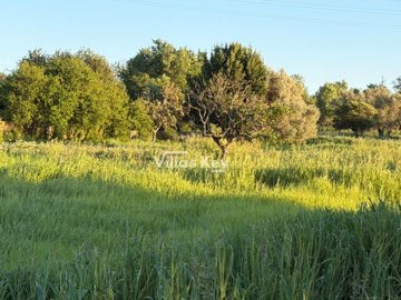 iddaa8c701-0000-0500-0000-0000191472c2