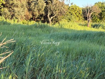 iddaa8c701-0000-0500-0000-0000191472c9