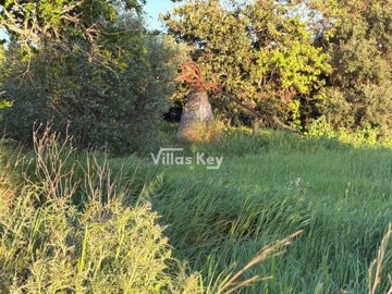 iddaa8c701-0000-0500-0000-0000191472d0