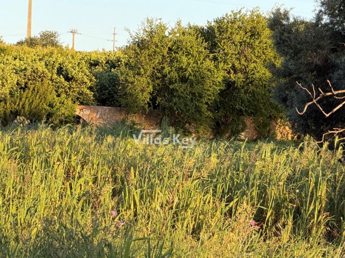 Image No.2-Plot for sale