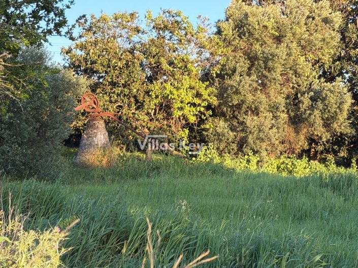 Image No.3-Plot for sale