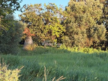 iddaa8c701-0000-0500-0000-00001913ea8a