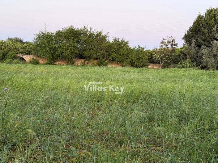 Image No.4-Plot for sale