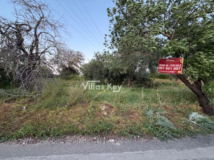 Image No.6-Plot for sale