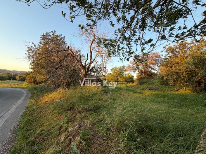 Image No.7-Plot for sale