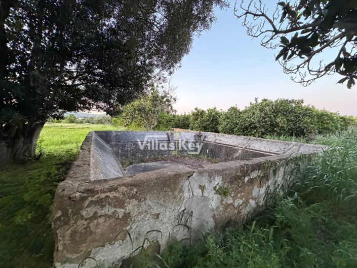 Image No.8-Plot for sale