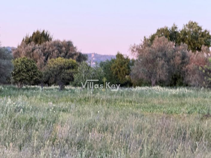 Image No.9-Plot for sale