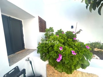 id0824c801-0000-0500-0000-0000191e5082