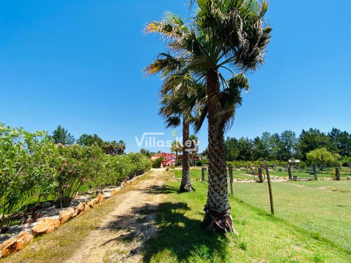 Image No.28-7 Bed Farmhouse for sale