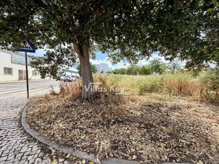 Image No.9-Plot for sale