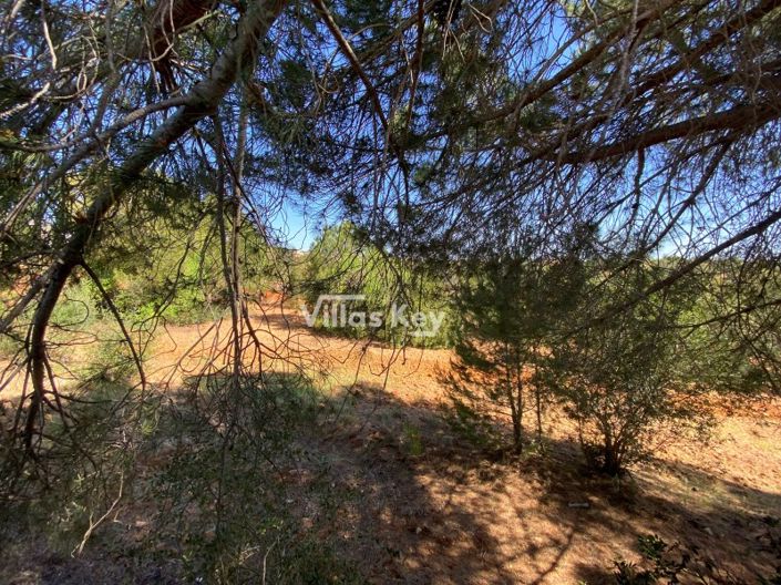 Image No.32-5 Bed House for sale