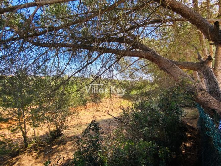 Image No.34-5 Bed House for sale