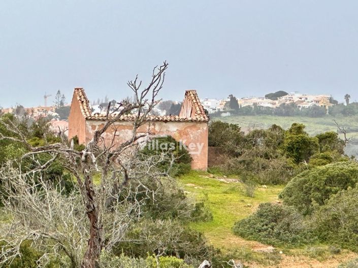 Image No.2-Farmhouse for sale