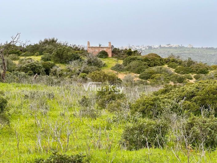 Image No.3-Farmhouse for sale