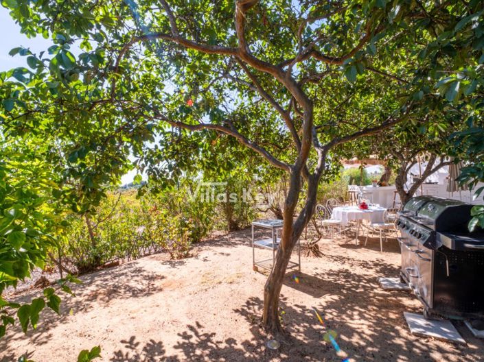 Image No.30-3 Bed House for sale