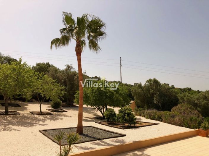 Image No.44-5 Bed House for sale