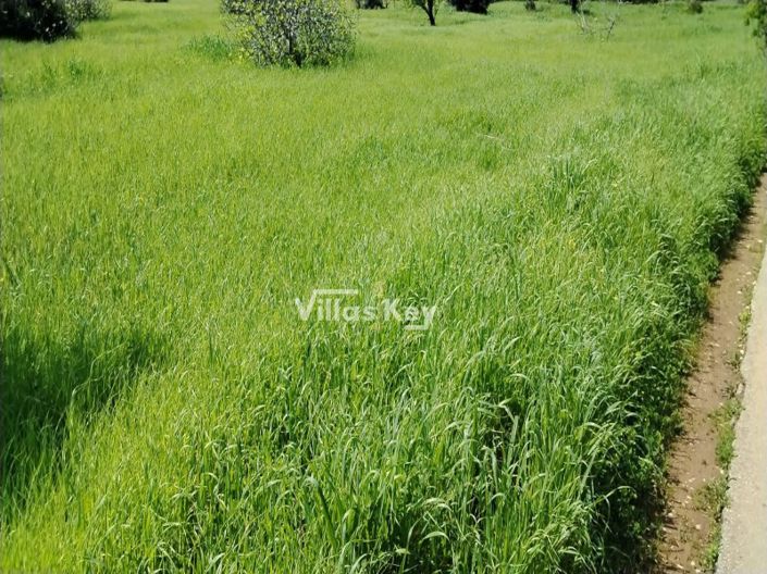 Image No.3-Plot for sale