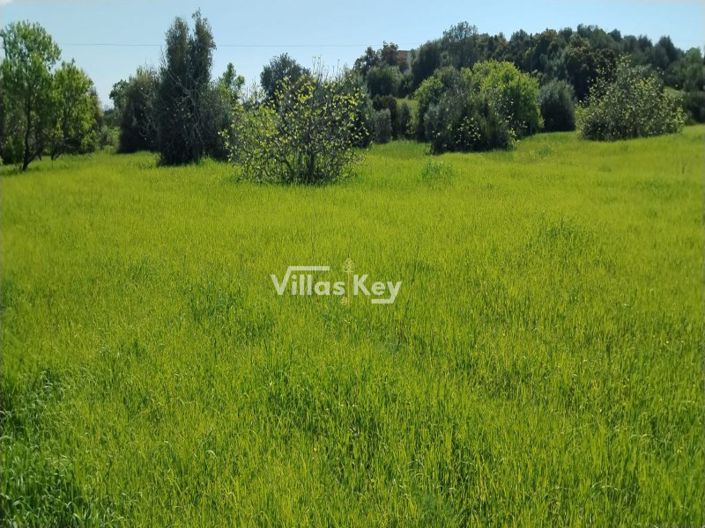 Image No.4-Plot for sale