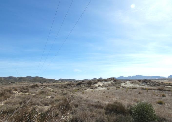 Image No.4-5 Bed Villa / Detached for sale