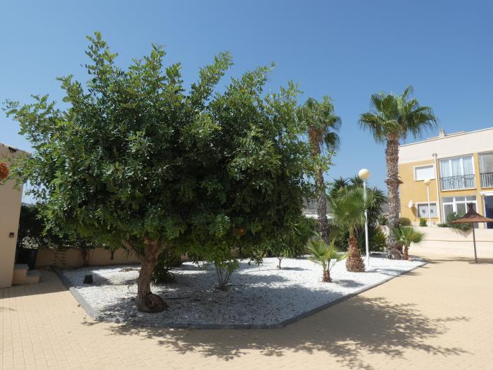 Image No.32-Appartement de 2 chambres à vendre à Mazarron