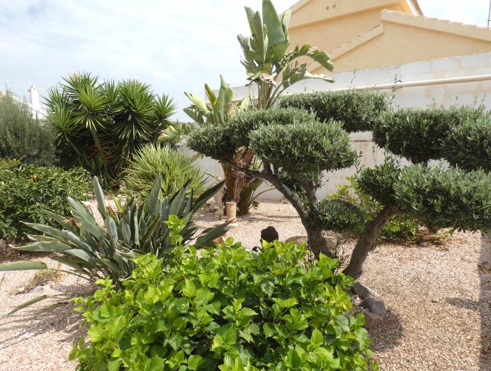 Image No.46-Villa / Détaché de 2 chambres à vendre à Camposol