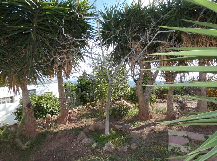 Image No.56-6 Bed Country Property for sale