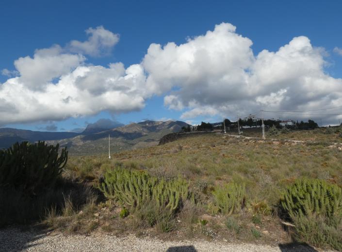 Image No.58-6 Bed Country Property for sale