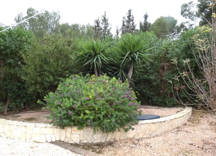 Image No.56-3 Bed Country House for sale