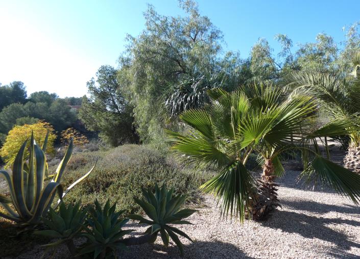 Image No.58-5 Bed Country Property for sale