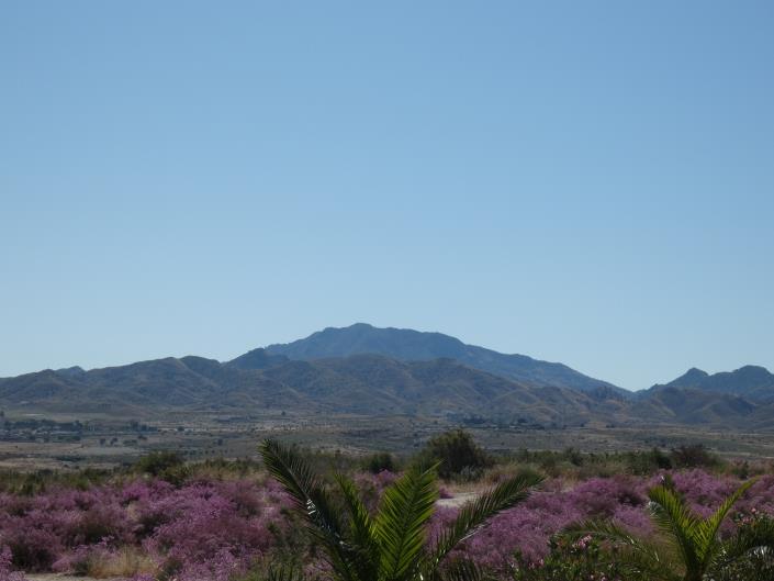 Image No.52-2 Bed House/Villa for sale