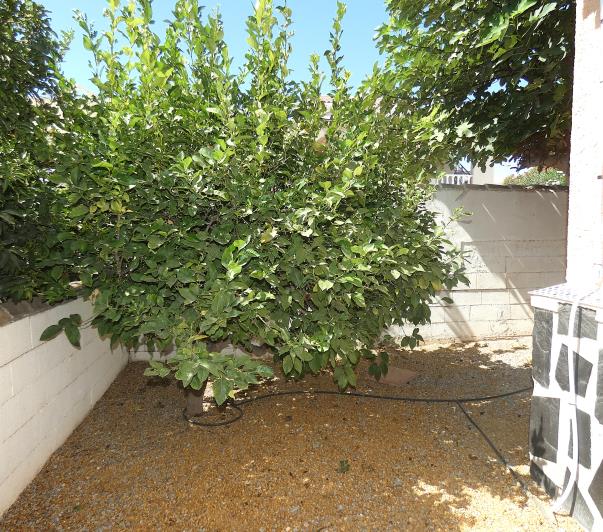 Image No.61-Villa / Détaché de 2 chambres à vendre à Camposol