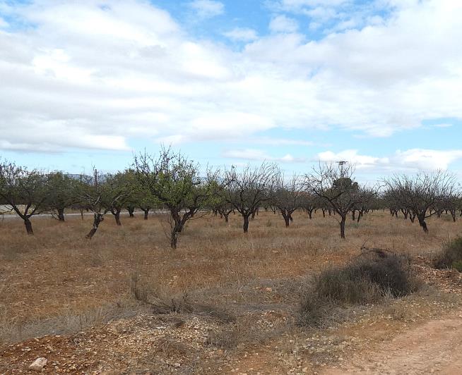 Image No.4-7 Bed Country Property for sale