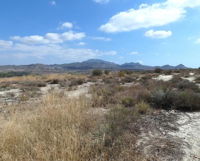 Image No.59-Villa de 3 chambres à vendre à Camposol