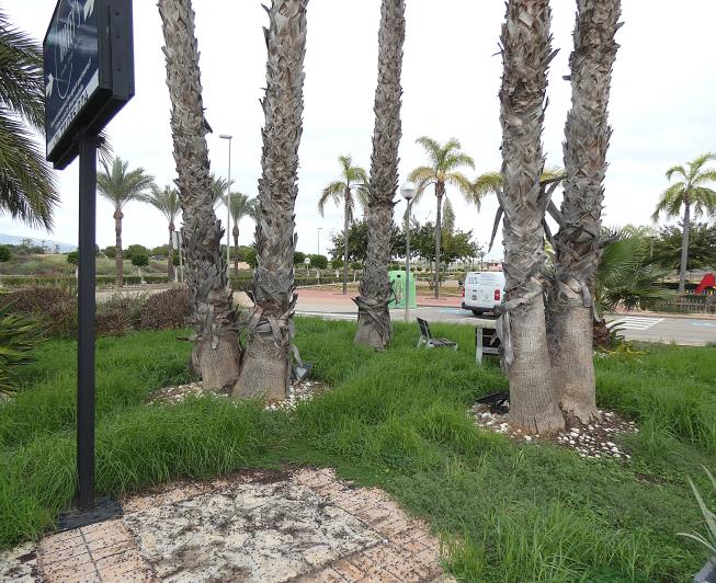 Image No.45-Commercial for sale