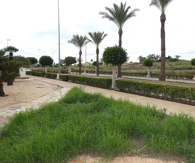 Image No.47-Commercial for sale