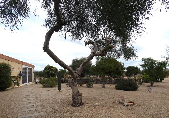 Image No.60-3 Bed Country House for sale