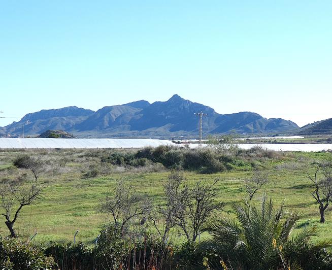 Image No.37-2 Bed Apartment for sale