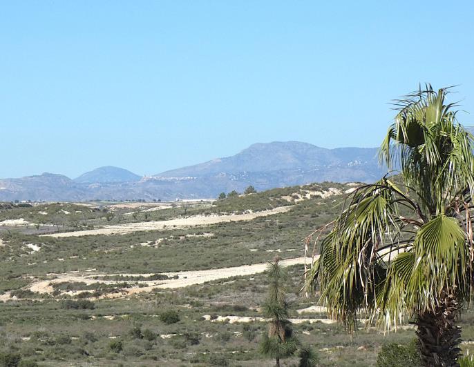 Image No.41-2 Bed Villa for sale