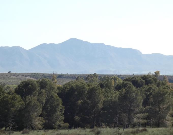 Image No.44-4 Bed Villa / Detached for sale