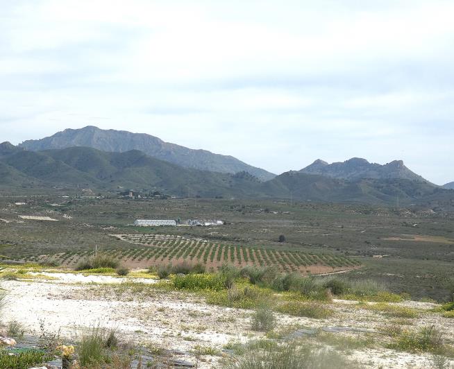 Image No.4-Village House for sale